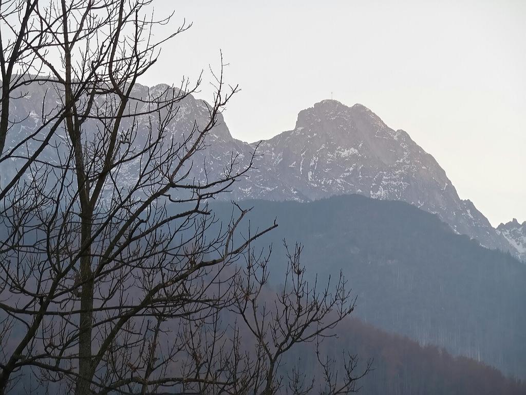 Willa Pod Halami Appartement Zakopane Buitenkant foto