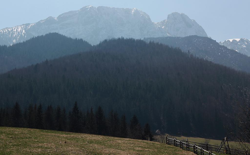 Willa Pod Halami Appartement Zakopane Buitenkant foto